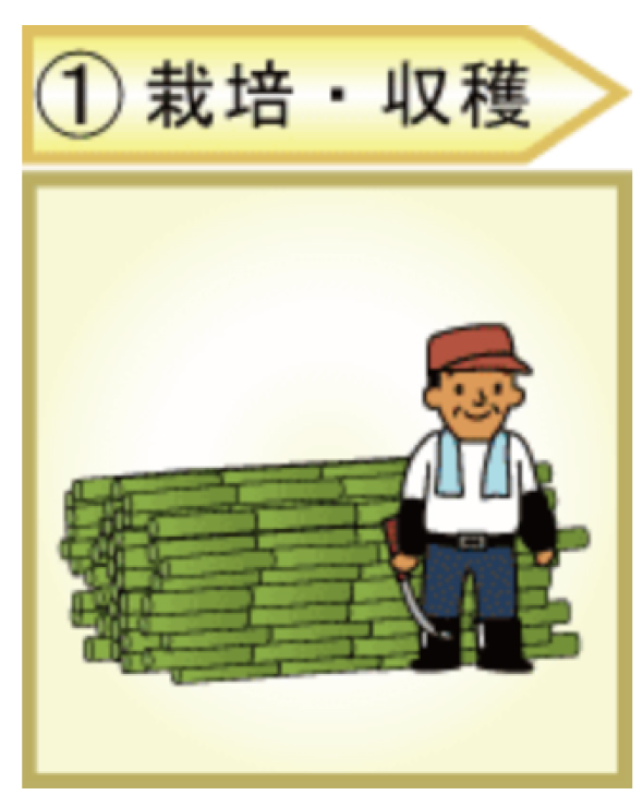 栽培・収穫
